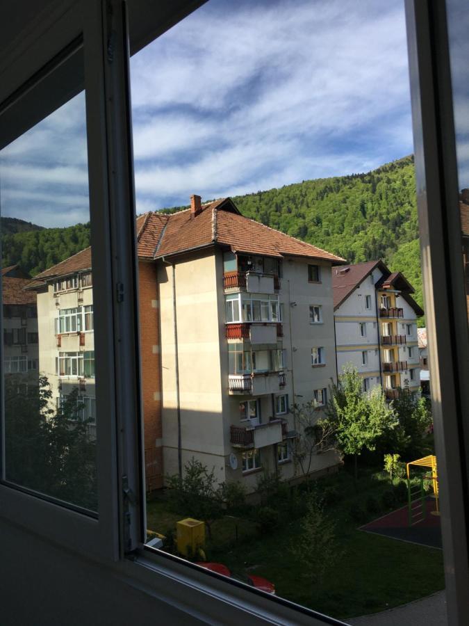 Patricia Apartment Sinaia Buitenkant foto